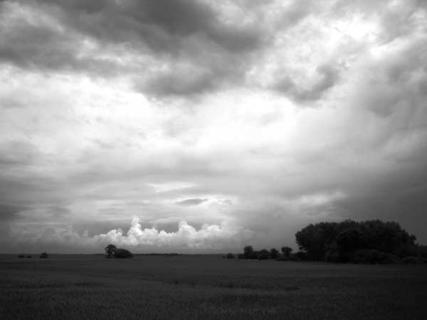 Kansas Flinthills by Warden Cook