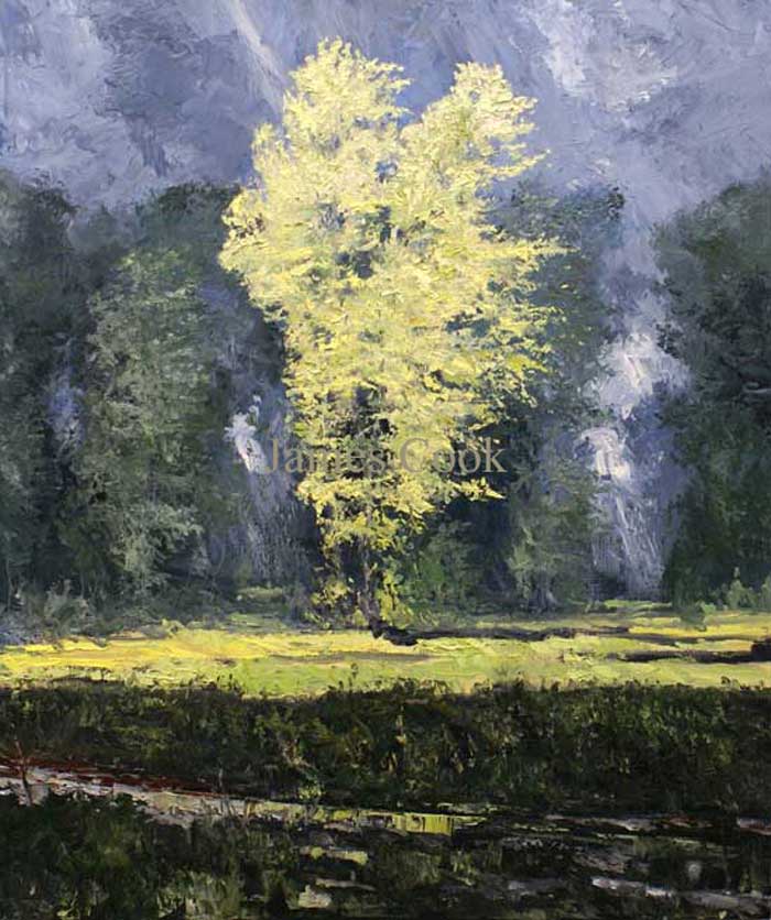 James Pringle Cook - Thunderstorm #1 08