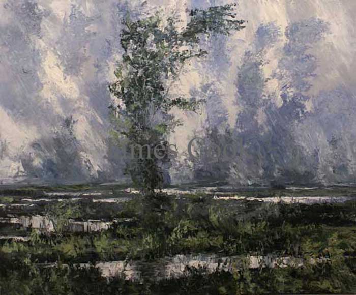 Thunderstorm 08 #2