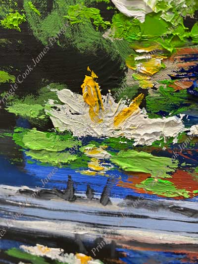 Detail of Lily Lake-Spring